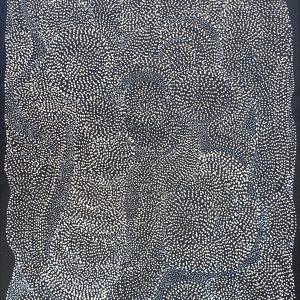 Aboriginal Art Walpa – Wind Dreaming 91cmx60cm